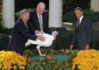 Obama Pardons Thanksgiving Turkeys