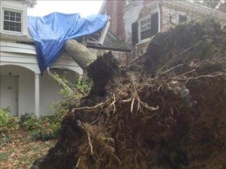 Your Images of the Storm