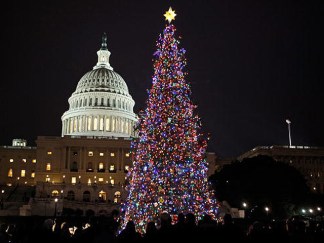 MoshPix: Capitol Christmas Tree Lighting
