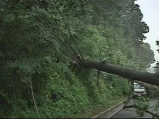 More Storms, More Power Problems