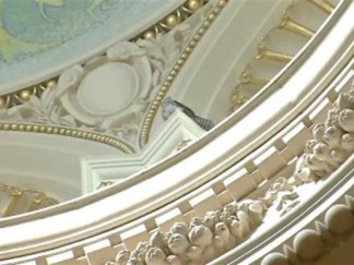 Bird-Watching Inside the Library of Congress