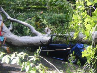 Hurricane Irene Viewer Pictures