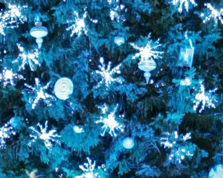 Residents Speak Out In Loudoun Holiday Display Debate