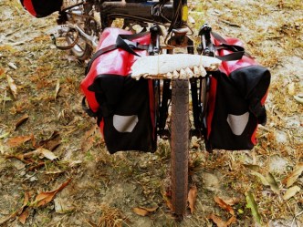 Hell on Wheels: Halloween Bike Ride in Dupont