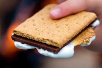 A S'More Trolley to Toyland