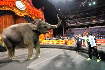 RGIII's Day at the Circus