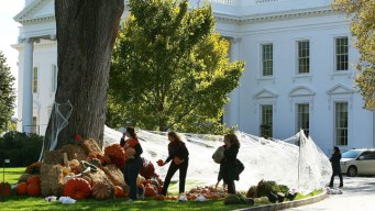 Trick-or-Treating at the White House