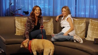 Kate Walsh Gives the Scoop on "Boyfriend"