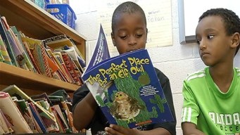 Elementary School Class Now Published Authors