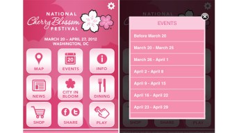 Cherry Blossom Fest: There's an App for That
