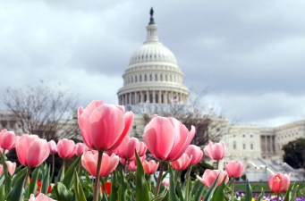 Sherwood's Notebook: Sprucing Up for Spring