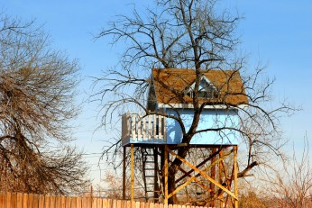 Trend Alert: Treehouses for Grownups