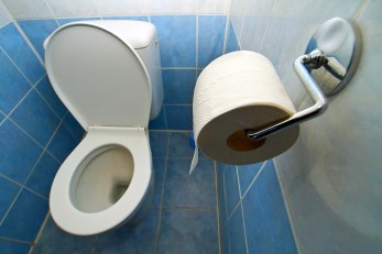One for the Memory Books: World Toilet Day