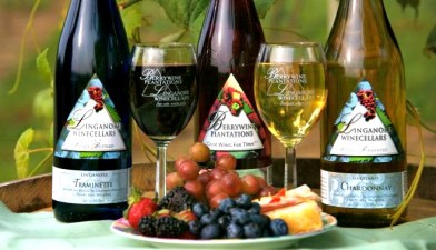 Wine Wednesdays: Linganore Winery