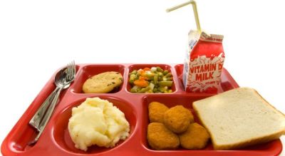 Elementary Students' Eco-Proposal Thrown Out
