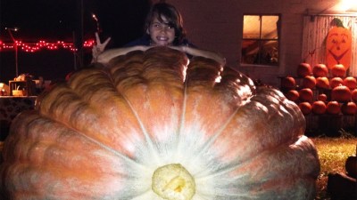 980-Pound Pumpkin Lurks in Virginia