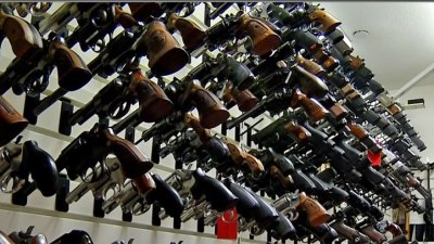 Md. House Panels Approve Gun-Control Bill