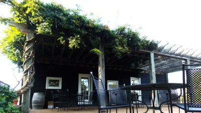Wine Wednesday: Piedmont Vineyards