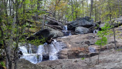 Trails, Scales and Waterfalls at Cunningham State Park
