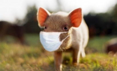 The dreaded Pig Death Virus has only killed one person north of the border.