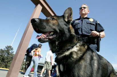 K-9 units will find your bombs.