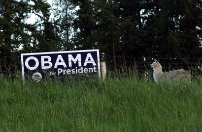 With the election over, it's time to recycle campaign signs.