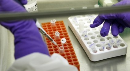 Swine Flu Falling on the Region “Like Snow in the Summer”