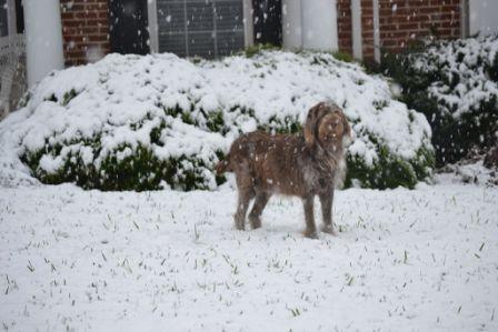 Your Snow Photos