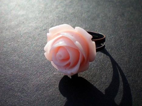 The Rose Knows