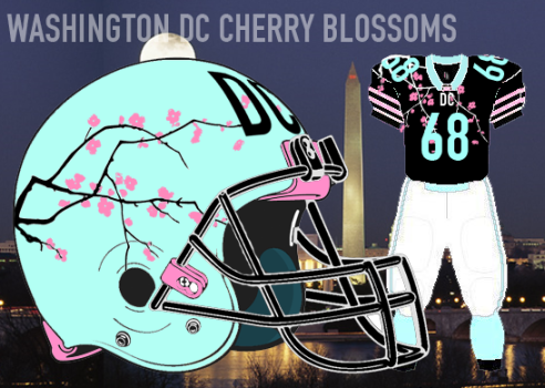 "Redesign the Washington Football Team"