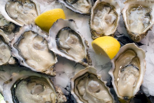 Shucks! Beer & Oyster Fest This Weekend