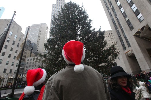 'Skins Fan Celebrates By Tackling Christmas Tree