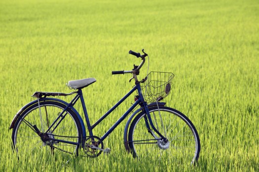 Cycling Tour of Southern Md. Farms