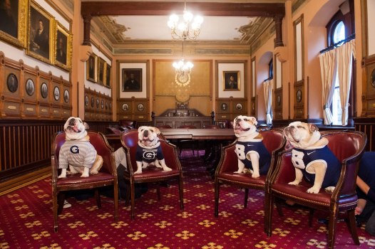 Bulldogs Meet for Cutest Summit Ever