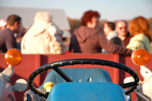 Fall Fest Fun - at a Discount