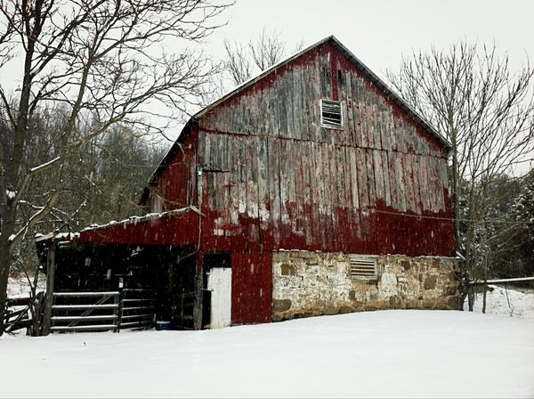 Snow Hits D.C., Suburbs