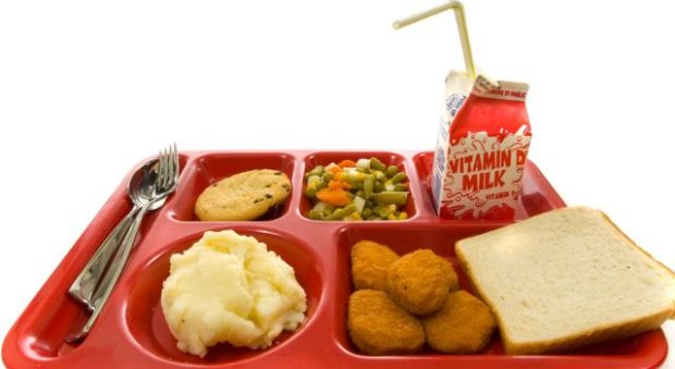 Elementary Students' Eco-Proposal Thrown Out