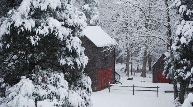 Cuddle Up for V-Day at Shadow Mountain