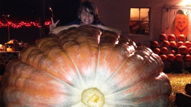 980-Pound Pumpkin Lurks in Virginia
