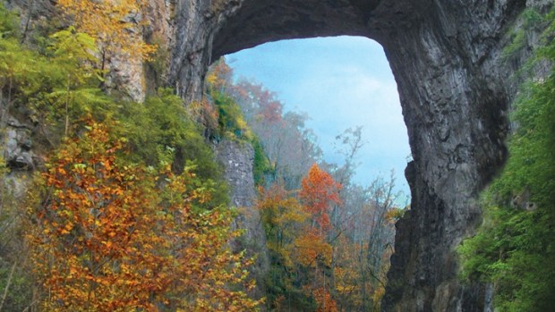 Natural Bridge: But Wait, There's More! Add Butterflies!