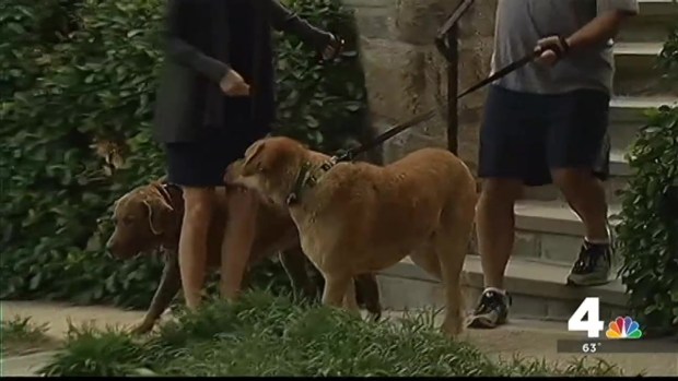 [DC] 4 Found Dead at Site of Suspicious Fire