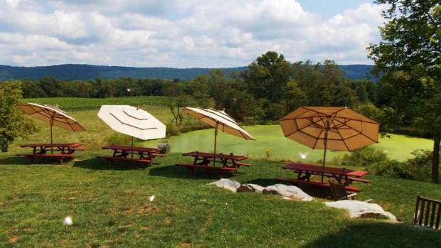 Wine Wednesdays: Notaviva Vineyards