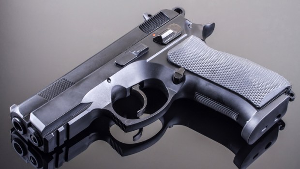 Md. Senate Expected to Vote on Gun Control