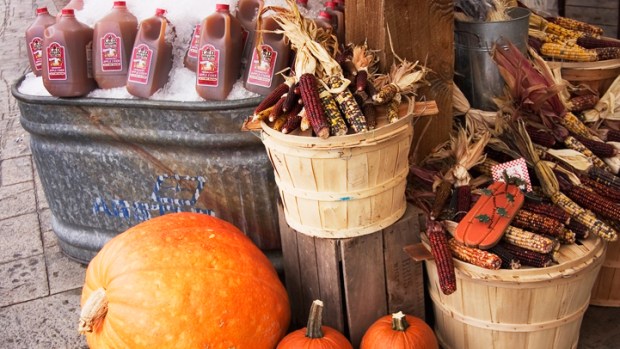 Baltimore Gets Organic at the Farmers Market and Bazaar