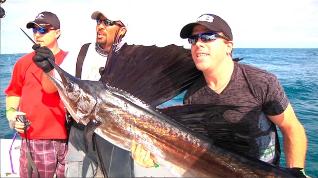 Mark the Shark Finds the Biggest Fishies in the Sea