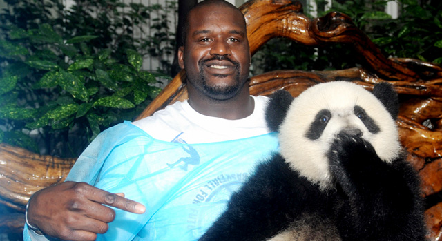 Shaq, Pandas Get Acquainted in China