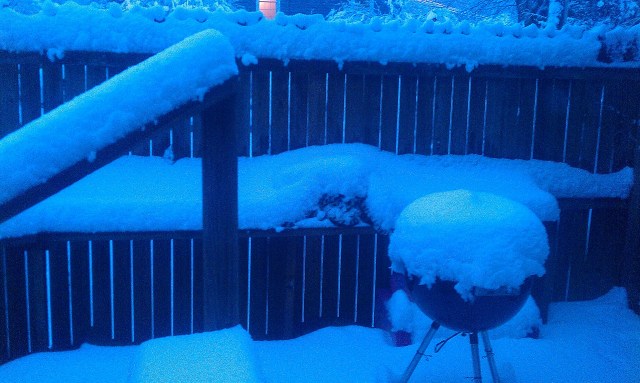 Viewers' Snow Pictures