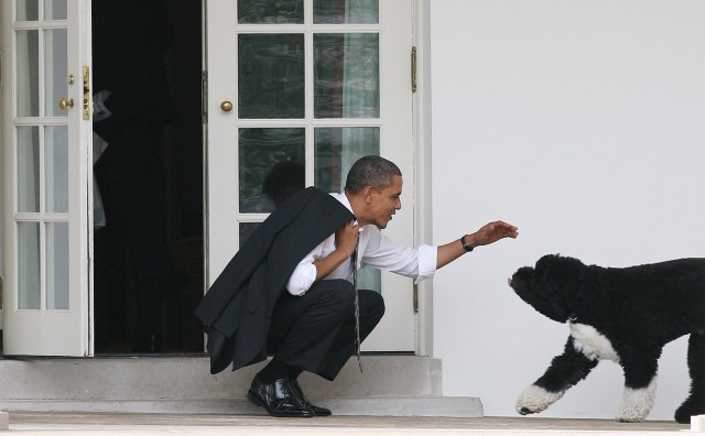 Presidential Pets