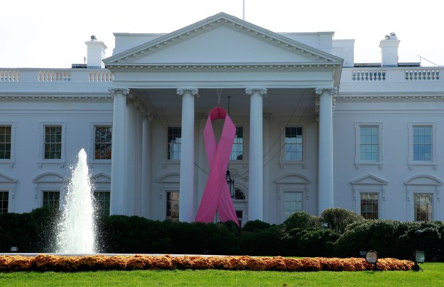 White House Gets Pink Ribboned