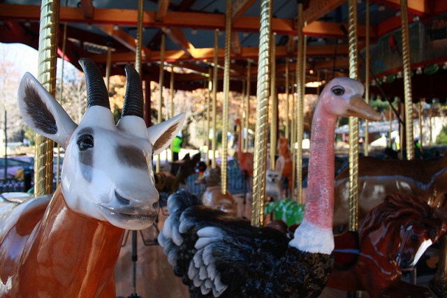 National Zoo Debuts Conservation Carousel